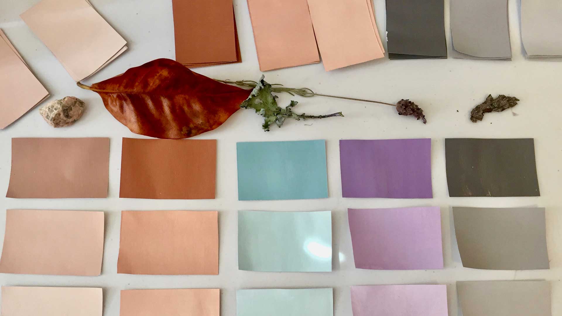 Color Designer Lauren James from @ExaltedbyLauren Talks Enhancing Your Mood and Your Work Space with Color